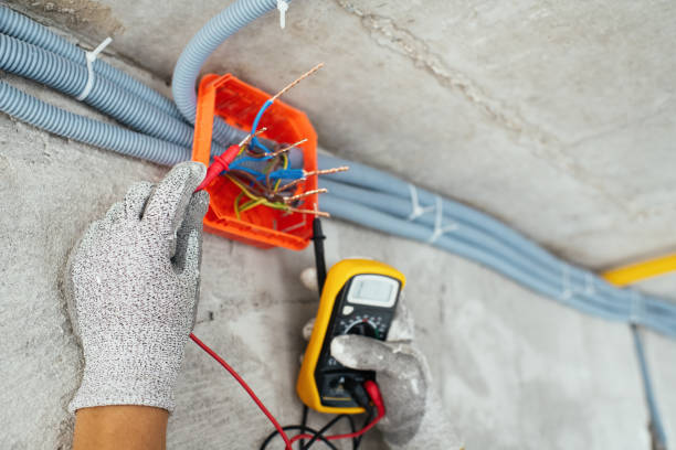 Best Electric Panel Repair  in Sanford, FL
